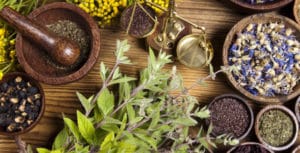 اثر دو ترکیب گیاهان دارویی بر عملکرد جوجه های گوشتی