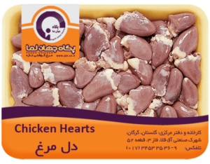دل مرغ پگاه جهان نما