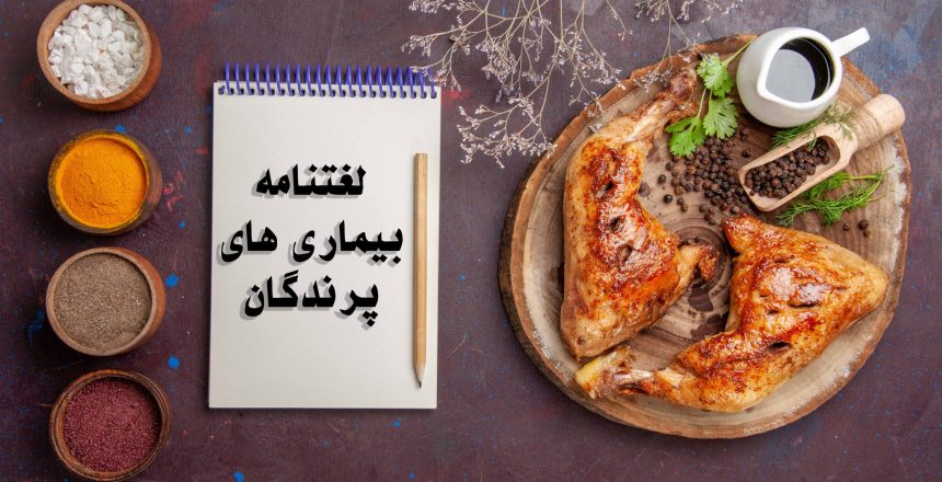 کامل ترین مقاله در رابطه با رایج ترین بیماری های مرغ های گوشتی به همراه توضیح.