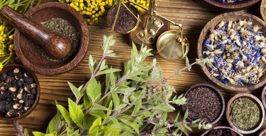 اثر دو ترکیب گیاهان دارویی بر عملکرد جوجه های گوشتی