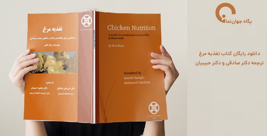 chicken-nutrition
